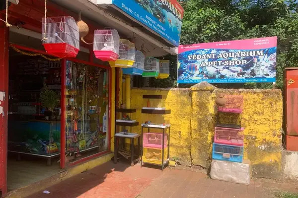 Vedant aquarium and pet shop