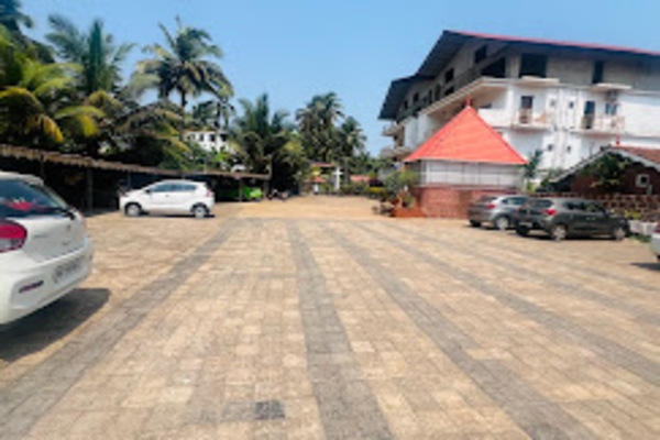 Golden Rice Serenity