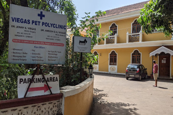 Dr. Jenny's Pet Clinic