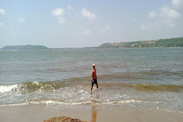 Sai Shradha Tours & Travels