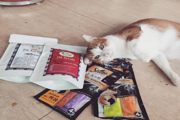 Sir Lancelot's kitchen