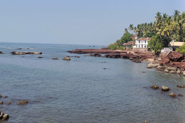 Sofine Tours and Events Pvt. Ltd.