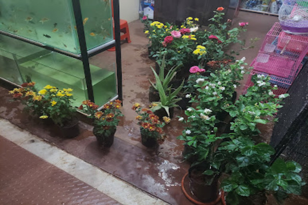 Felix Aquarium & Pet Shop