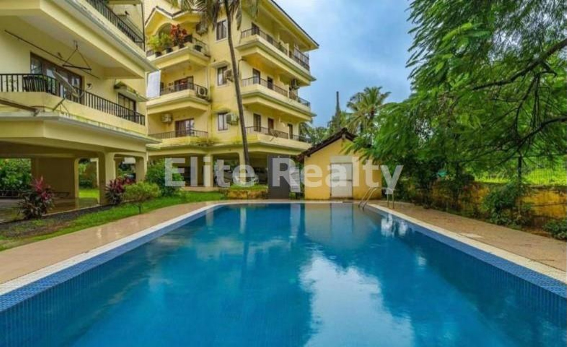 Elite Realty