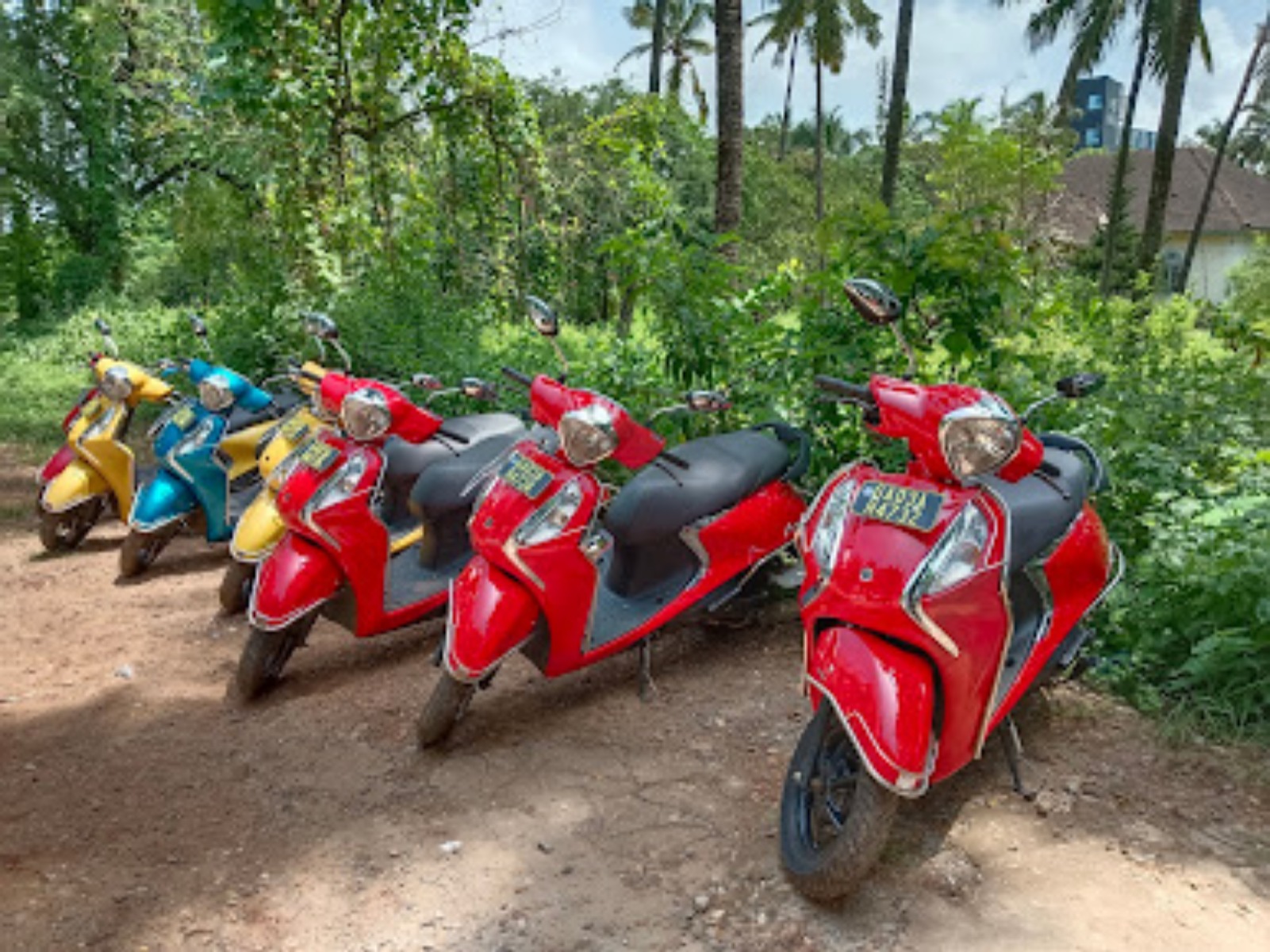 Angelos Bike Rentals