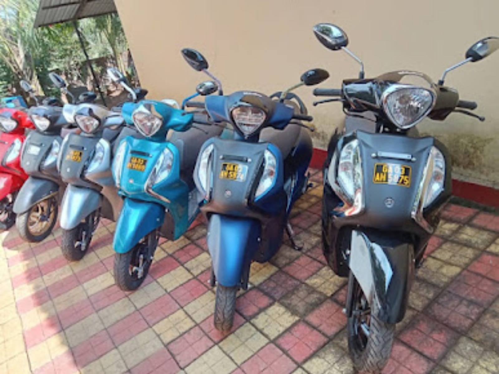 Lobo Bike Rentals
