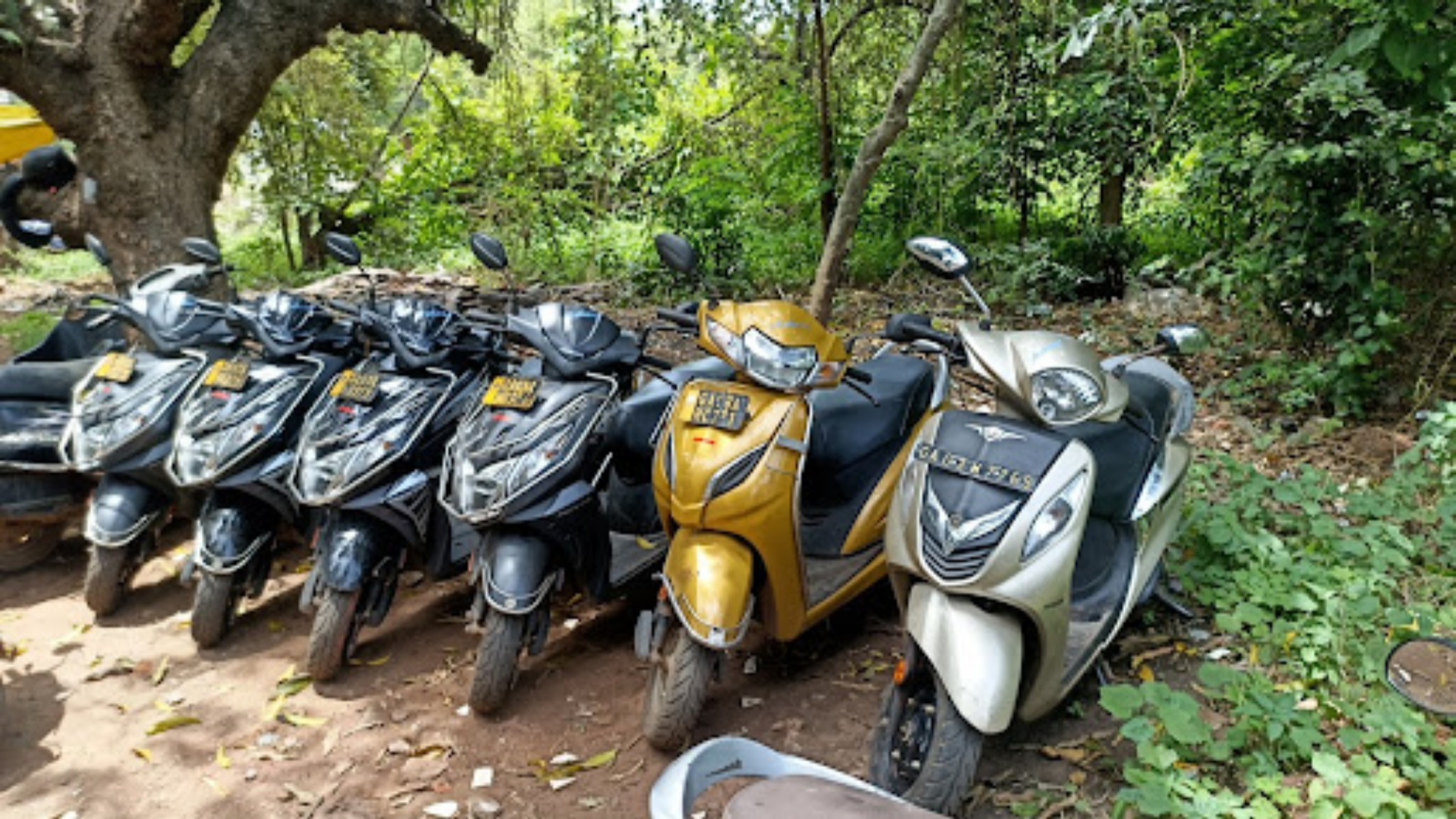 Noy Car And Bike Rental