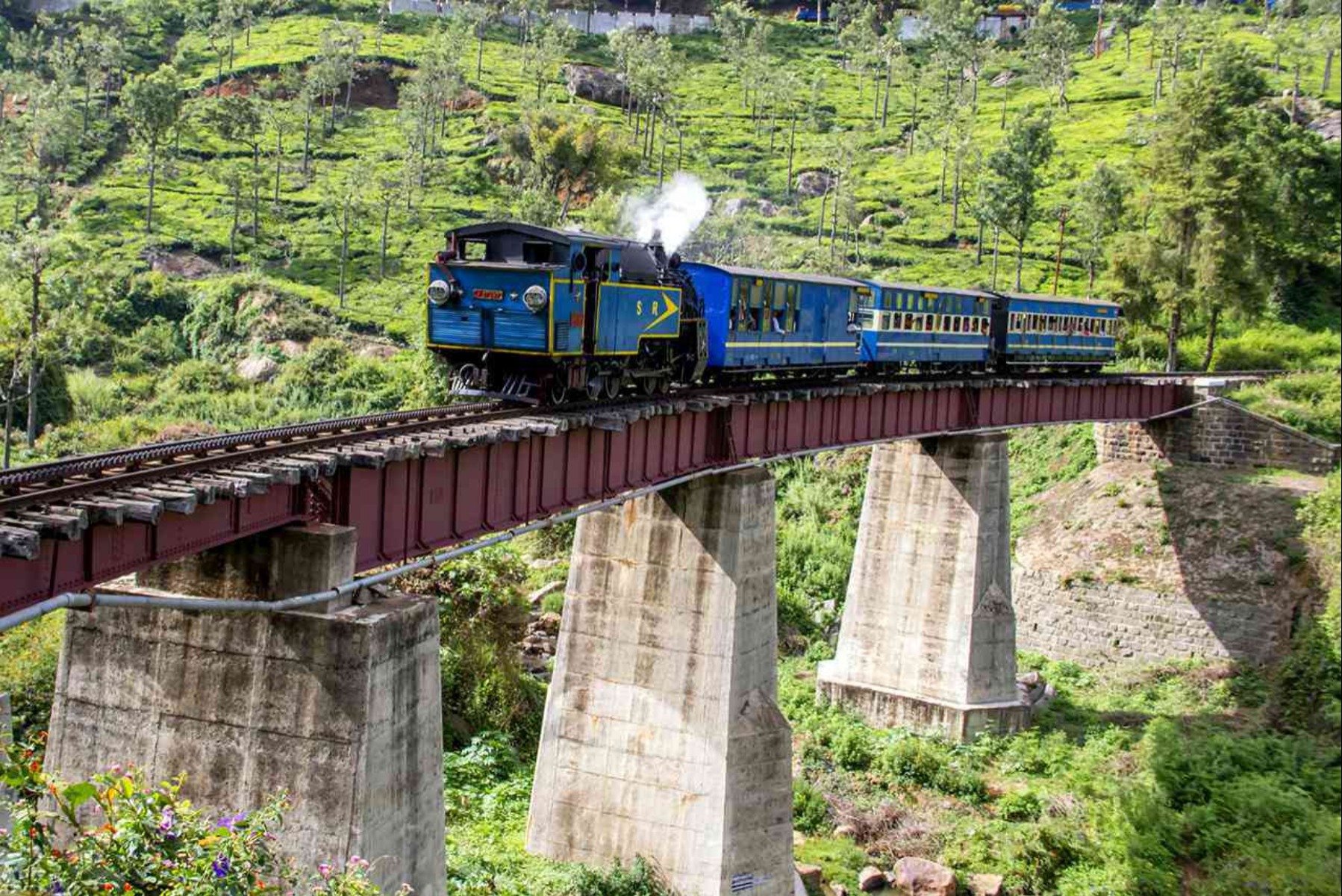 TravelBug Goa
