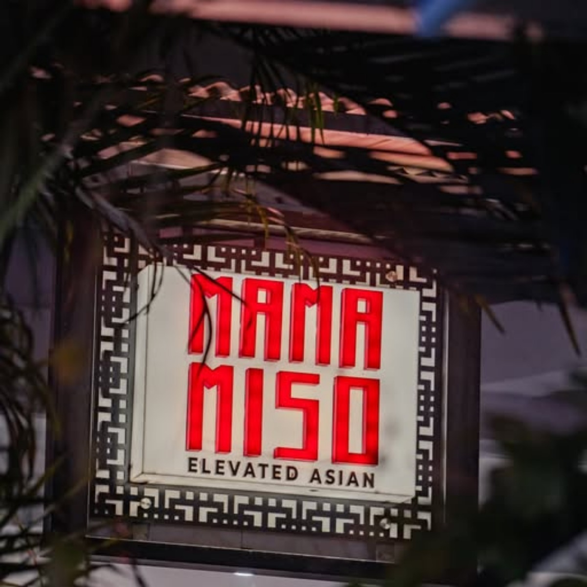 Mama Miso